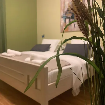 Zorica 4 *