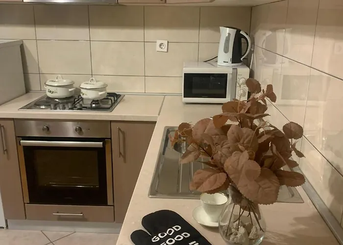 Zorica 4 *