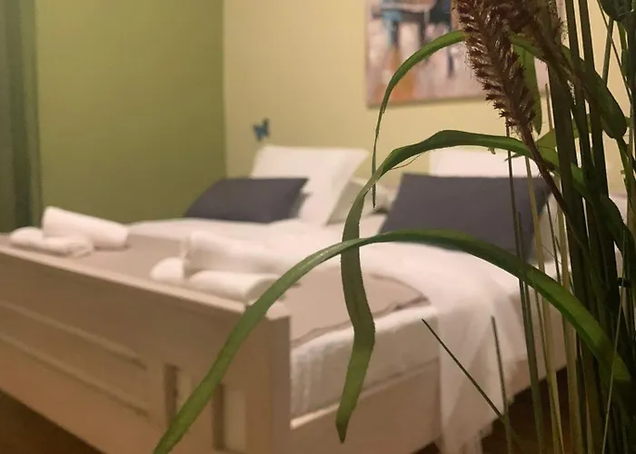 Zorica 4 *